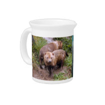 bush-dog-b-2 pitchers