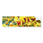 Bush In Blossom Bumper Sticker