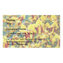 Bush In Blossom business cards