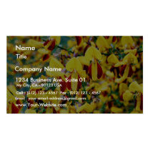 Bush In Blossom business cards