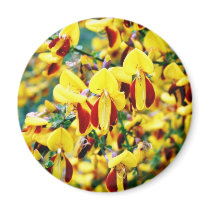 Bush In Blossom magnets by lifesphere Bush In Blossom magnets