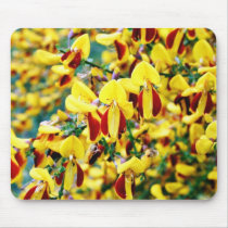 Bush In Blossom mousepads