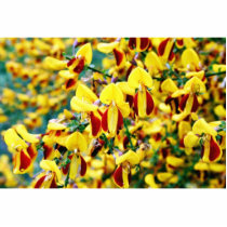 Bush In Blossom Acrylic Cut Outs