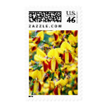 Bush In Blossom postage