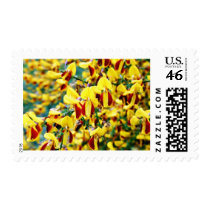 Bush In Blossom postage by lifesphere Bush In Blossom postage