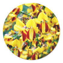 Bush In Blossom stickers