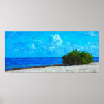 Bush in the Keys Poster