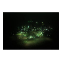 Bush in the Night posters