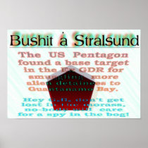 Bush meets Angie 1 Posters
