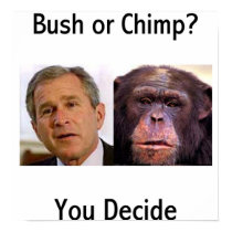 Bush Or Chimp posters