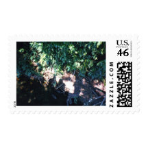Bush Postage Stamps