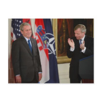 Bush postcards by pantavila Bush postcards