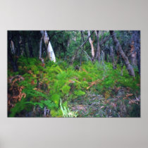 Bush Print