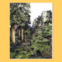 Bush Prints New Zealand postcards