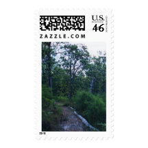 Bush Stamps