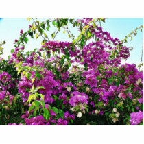 Bush With Purple Flowers photo sculptures
