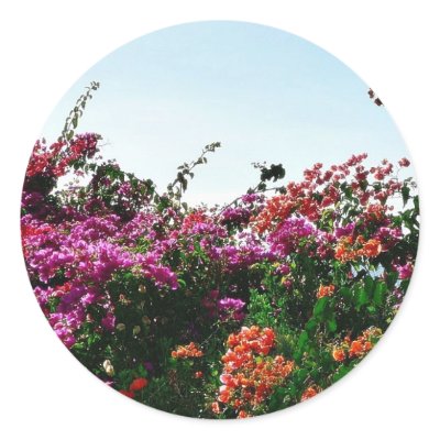 Bush With Purple Red And Orange Flowers Sticker by lifesphere