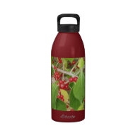 Bush with Red Berries BPA Free Water Bottle