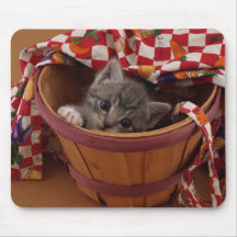 Bushel of Kitty Mousepad