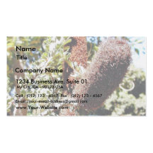 Bushes 4 business card template