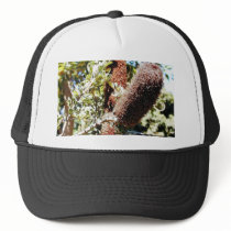 Bushes 4 hats