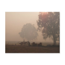 Bushfire Smoke Postcard by GlenlothArt Bushfire Smoke Postcard