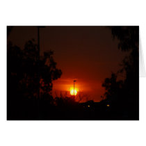 Bushfire Sunset In The Trees Greeting Cards