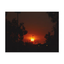 Bushfire Sunset In The Trees Post Card