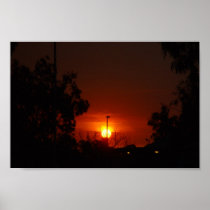 Bushfire Sunset In The Trees Poster