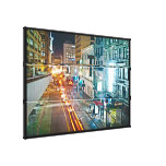 Bushing the Stockts Canvas Print