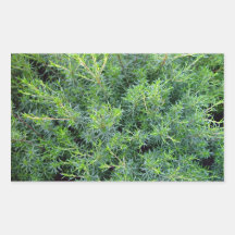 Bushy green background rectangle sticker