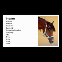 Business Address Card Horses/ Equestrian business cards