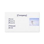 Business Card / Arctic Trailblazing