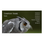 Business Card - Baby Grey Owl business cards