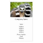 Business Card - Cute Lemur Stripey Tail business cards