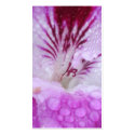 Business Card - Pink-White-Purple Flower