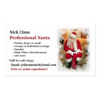 Business Card: Professional Santa Double-Sided Standard Business Cards (Pack Of 100)