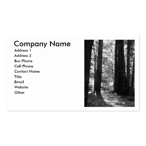 Business Card - redwoods (front side)