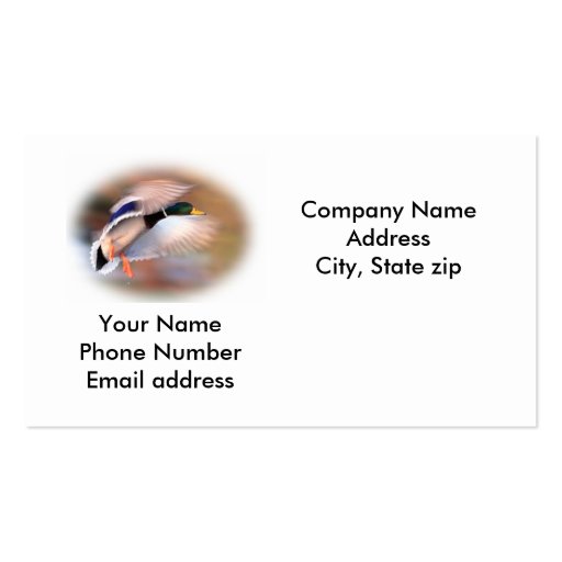Business Card Template (front side)