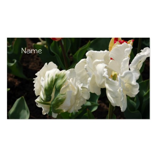 Business Card-White and Green Tulip (front side)