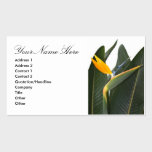 Business Card with Bird of Paradise Flower business cards