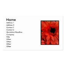 Business Cards
