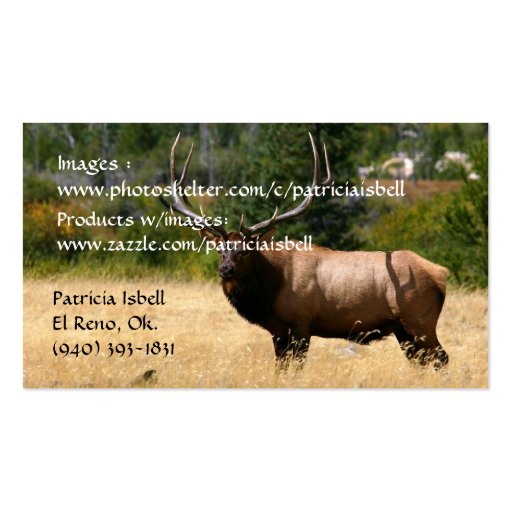 Business Cards (back side)