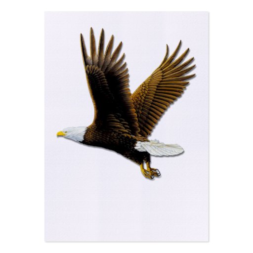 Business Cards, American Bald Eagle (back side)