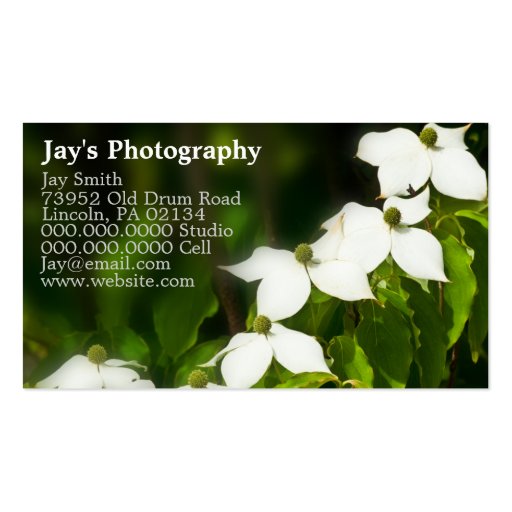 Business Cards For Photographers (front side)