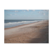 Business Postcard Ormond Beach