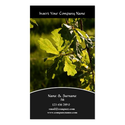 Business profile Winery vineyard grape Business Card Templates (front side)