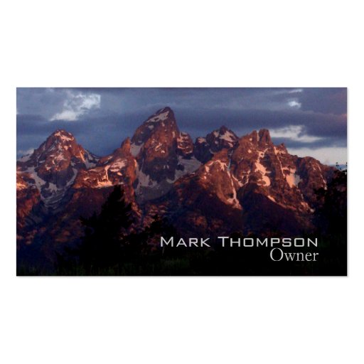 Business Tetons card purple Business Cards (front side)