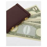 BusinessProfits053009 flyers