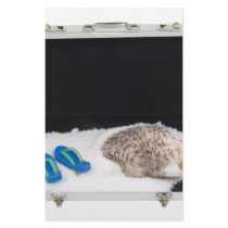 BusinessVacation072209 stationery by ShroudedLake BusinessVacation072209 stationery